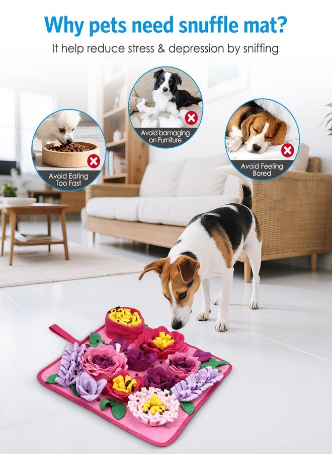 AMIR Snuffle Mat for Dogs, AMIR Dog Snuffle Mat, Slow Feeding Sniff Mat for Dogs Encourages Foraging Skills, Reduces Stress, and Aids in Training - Image 3